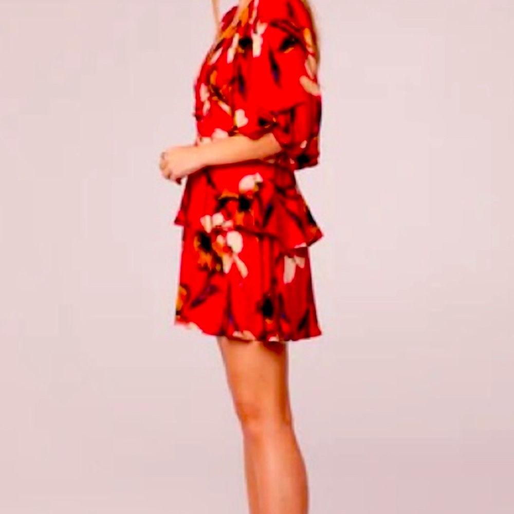 Floral Red Dress ~ Band of The Free - Picture 2 of 3
